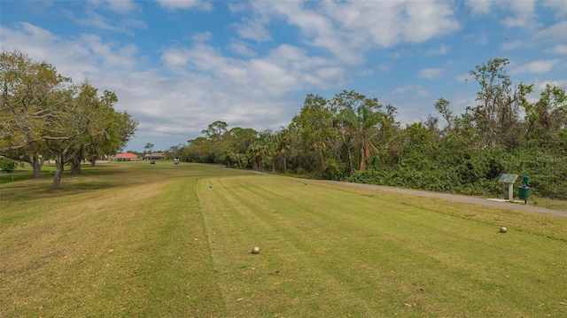 view of community with a yard