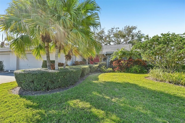 obstructed view of property with driveway, a garage, and a front lawn