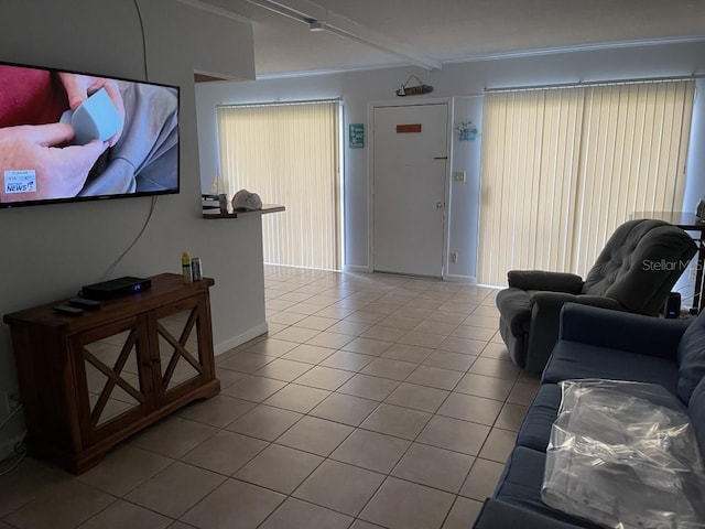 living room with a wealth of natural light and light tile patterned flooring