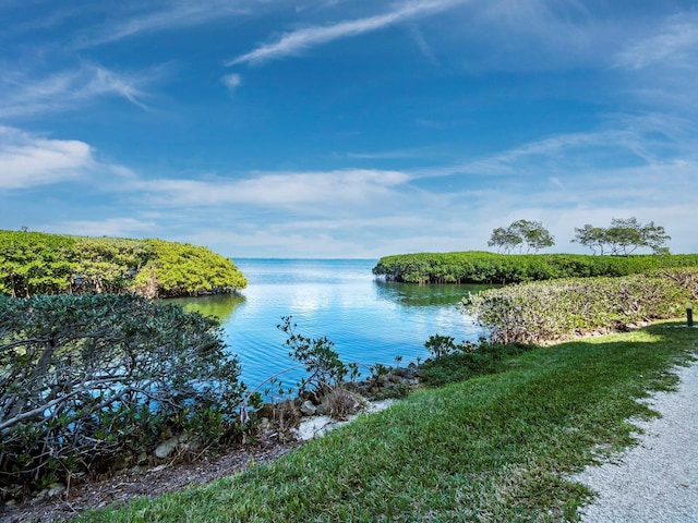 view of water feature