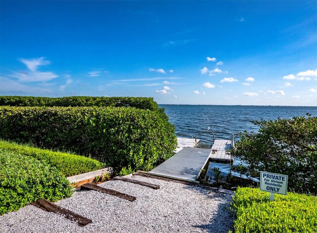 water view featuring a boat dock