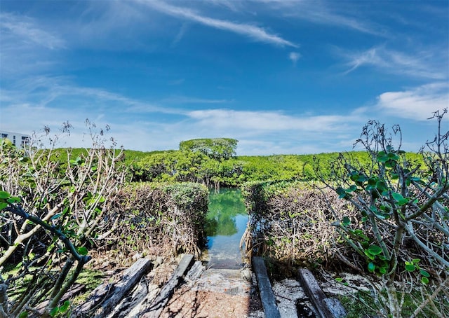 property view of water