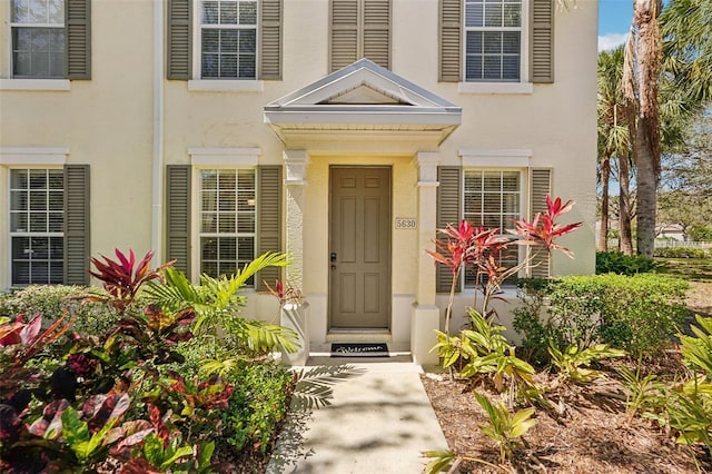 entrance to property featuring stucco siding