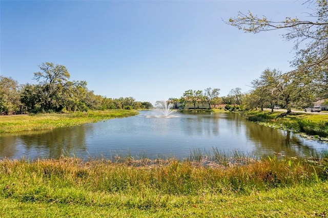 view of water feature