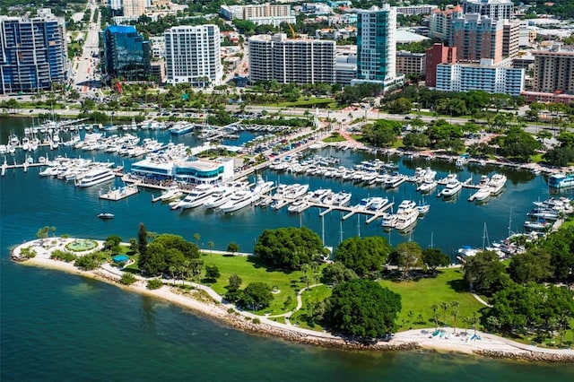 birds eye view of property with a city view and a water view