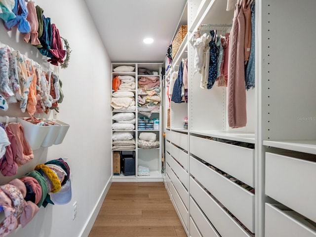 spacious closet featuring light wood finished floors