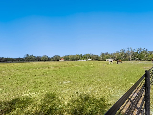 view of yard with a rural view