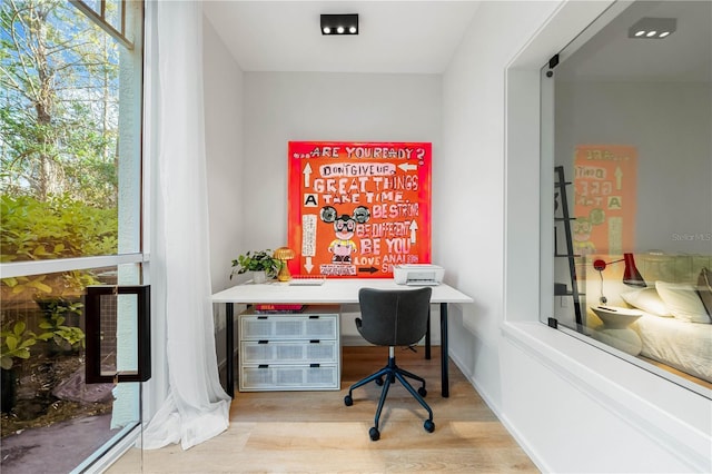 office featuring wood finished floors