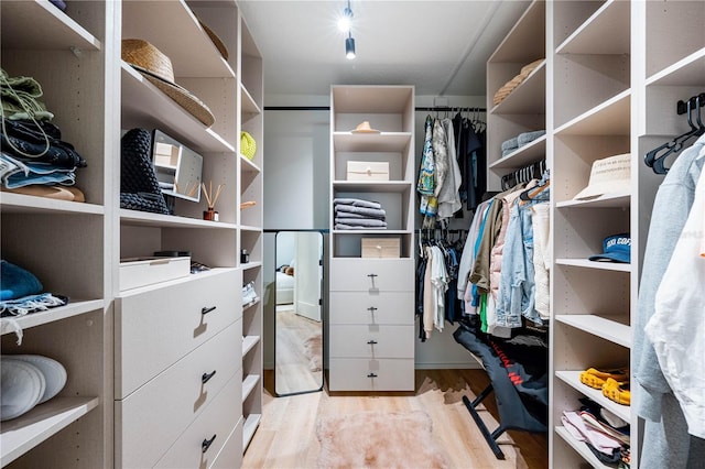 walk in closet featuring light wood-style floors