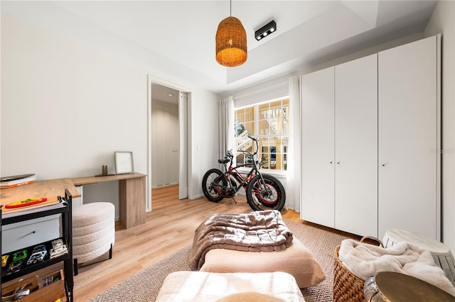 interior space featuring a raised ceiling and light wood-style flooring