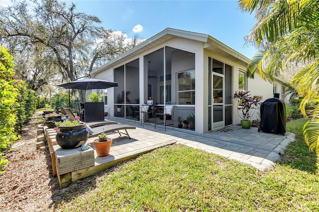 rear view of property with a patio and a sunroom