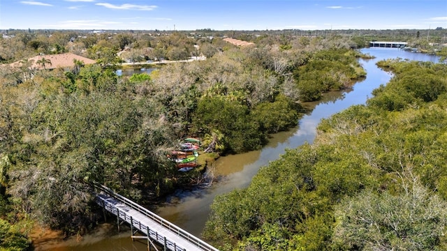 aerial view featuring a water view and a wooded view