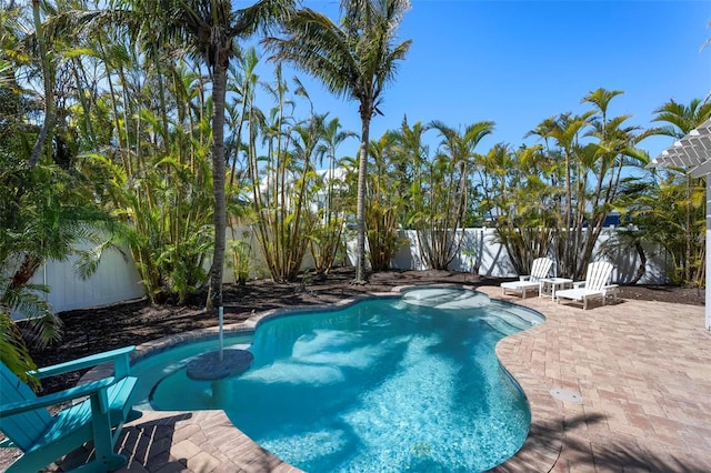 view of swimming pool with a patio, a fenced backyard, and a fenced in pool