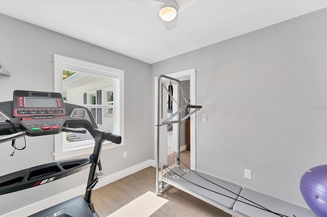 exercise room featuring a ceiling fan, baseboards, and wood finished floors