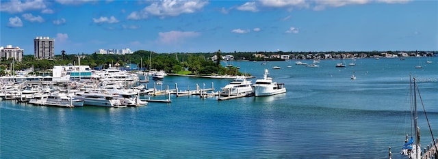 water view featuring a dock