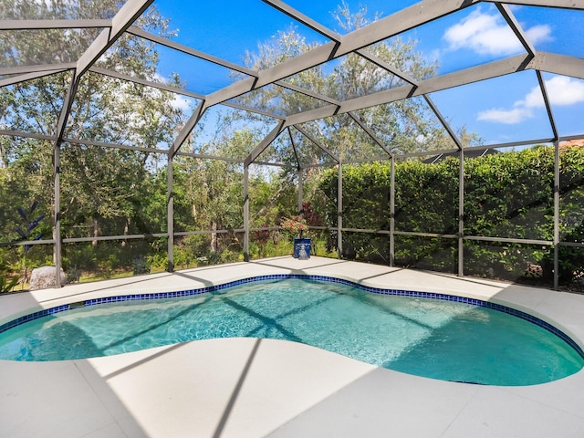 pool featuring a patio area and glass enclosure