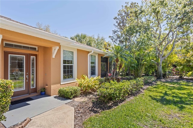 property entrance featuring a lawn and stucco siding