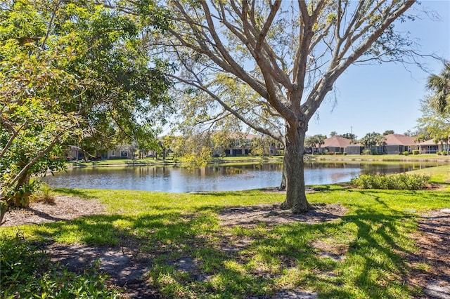 water view