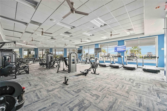 workout area featuring ceiling fan, carpet floors, and visible vents