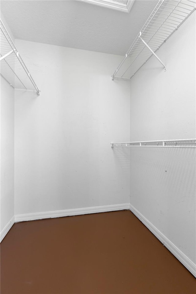 view of spacious closet