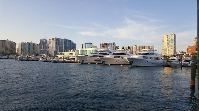 water view with a city view and a boat dock