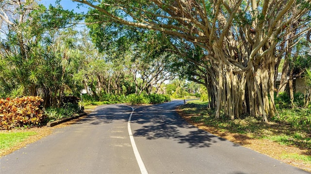 view of street