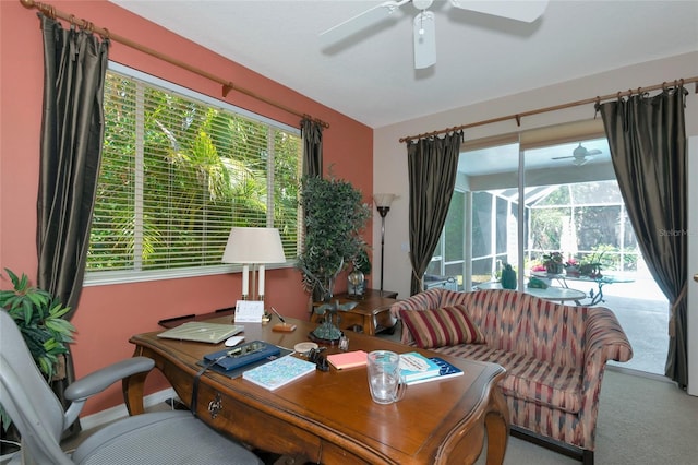 office space featuring a sunroom, carpet floors, and ceiling fan