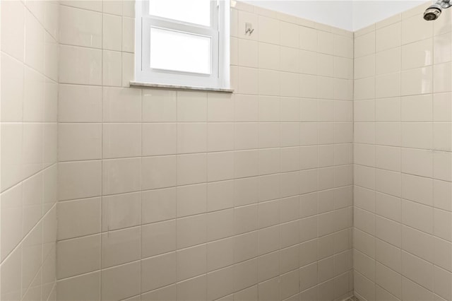 interior details with tiled shower