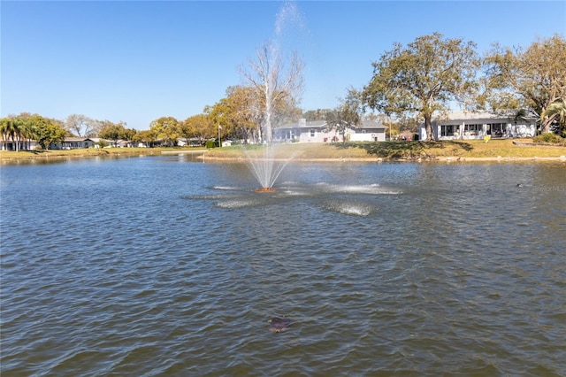 view of water feature