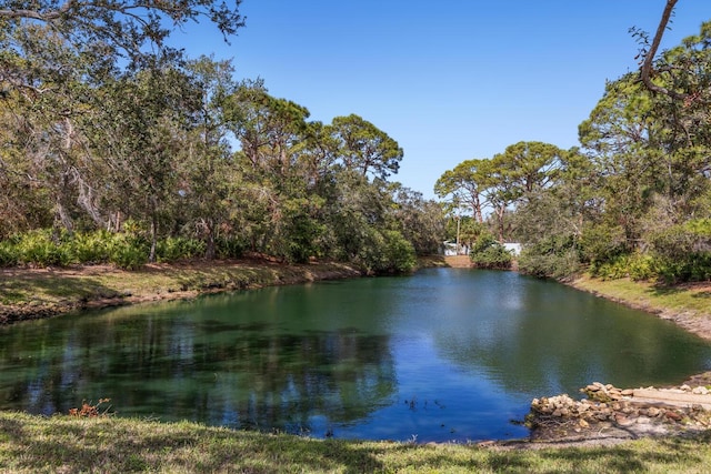 water view featuring a forest view