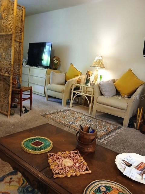 6012 Oak Creek Ln Unit 1913, Bradenton, FL 34210 - view of carpeted living room