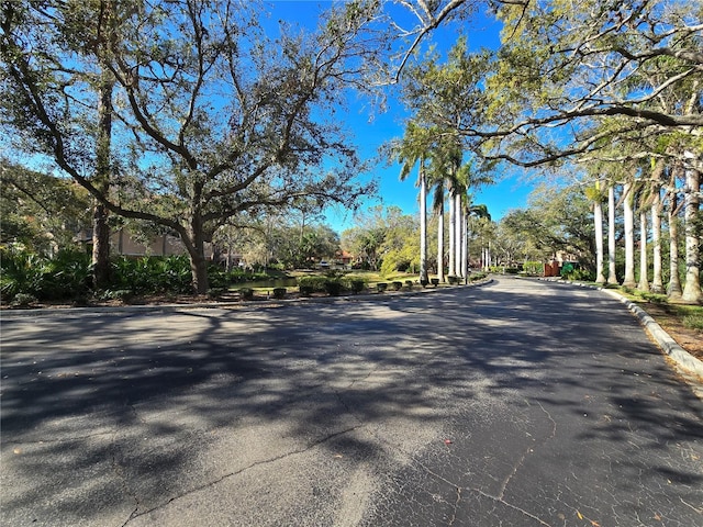 view of street featuring curbs