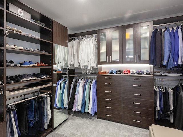 walk in closet with light colored carpet