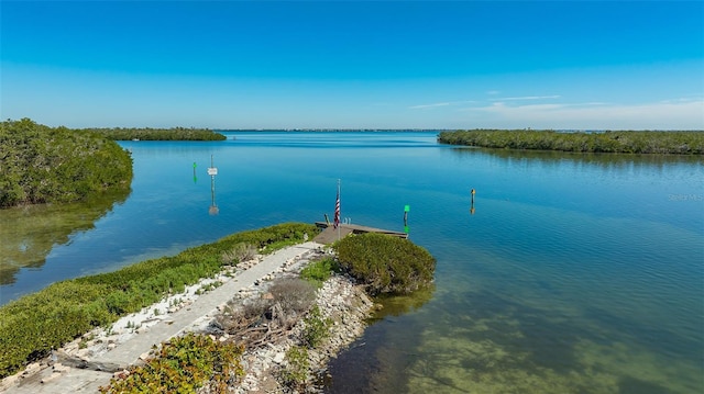 property view of water with a boat dock