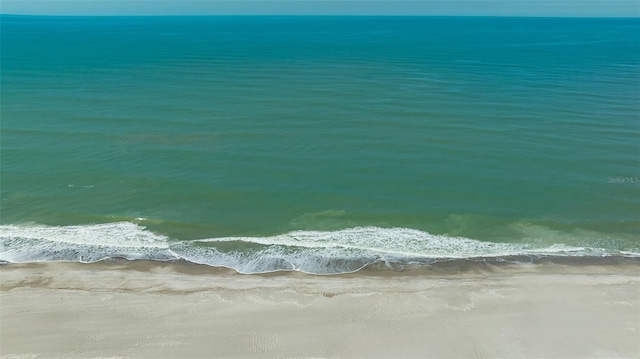 water view featuring a beach view