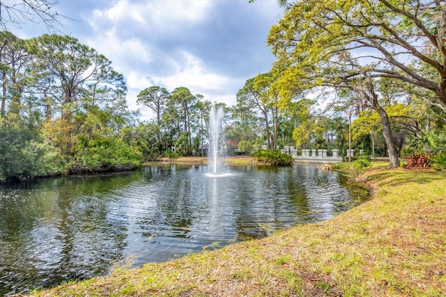 property view of water