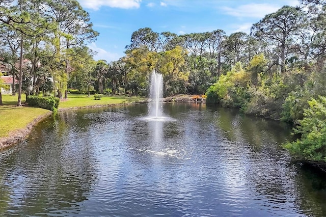 water view