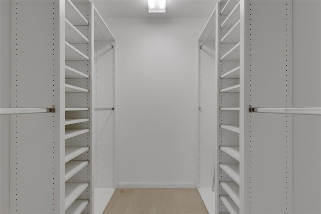 spacious closet featuring carpet flooring