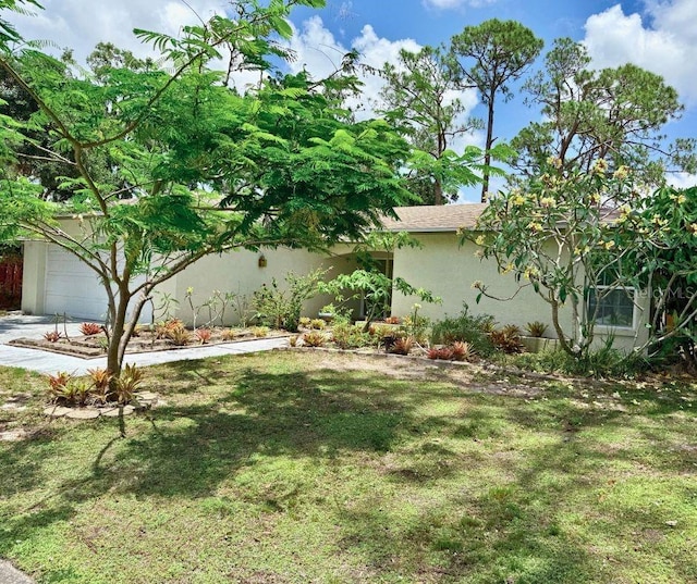 1805 Springwood Dr, Sarasota, FL 34232 - view of grassy yard featuring a garage and concrete driveway