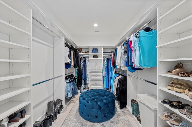 view of spacious closet