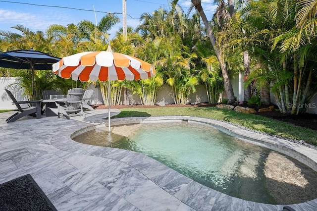 view of pool with a fenced backyard and a patio area