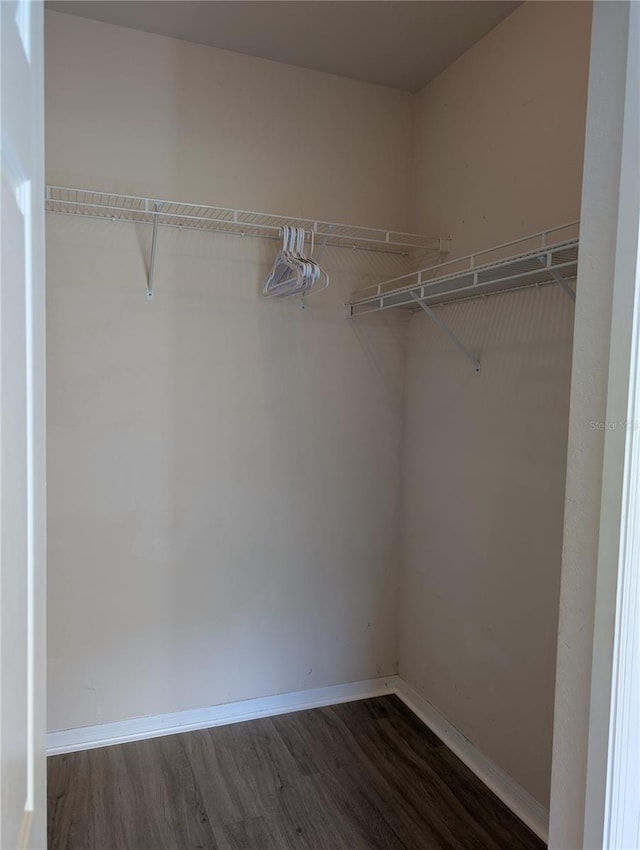 spacious closet with wood finished floors