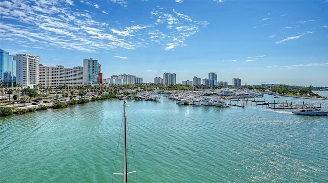 property view of water featuring a city view