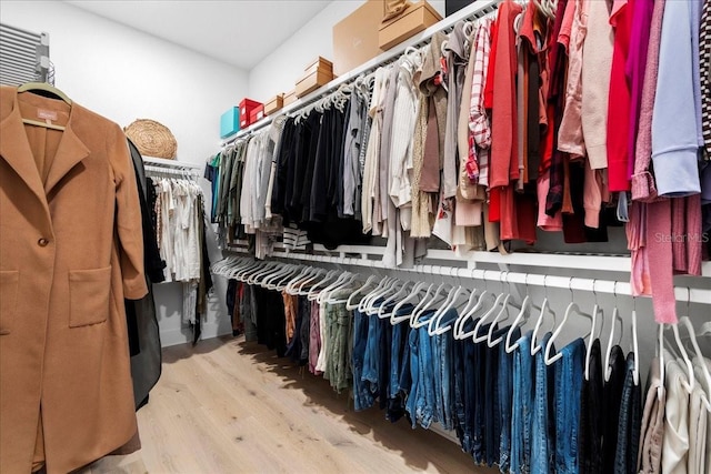 walk in closet with wood finished floors