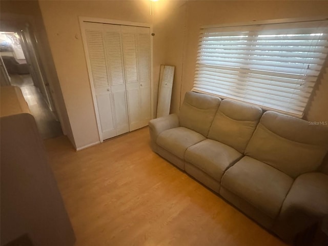 living room featuring wood finished floors