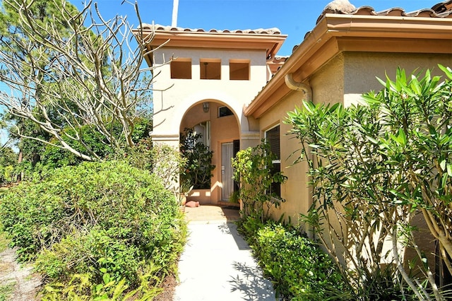 entrance to property featuring stucco siding