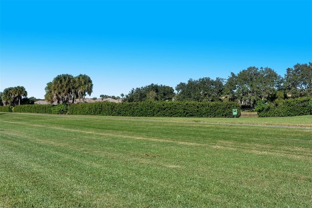 surrounding community featuring a yard