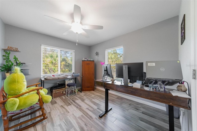 office featuring plenty of natural light, a ceiling fan, and light wood finished floors