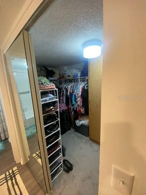 spacious closet featuring wood finished floors