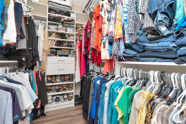 spacious closet featuring wood finished floors